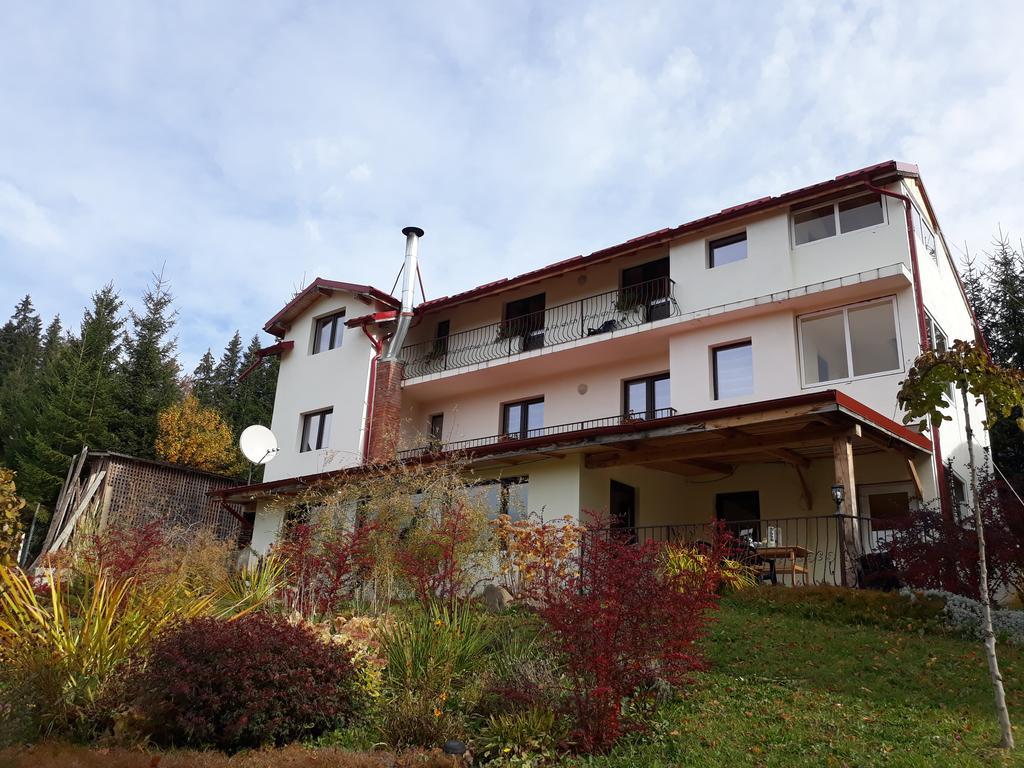Pensiunea Lu' Movila Durau Exteriör bild